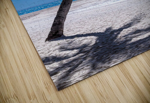 White Sand Beaches and Tropical Blue Skies Bo Insogna puzzle