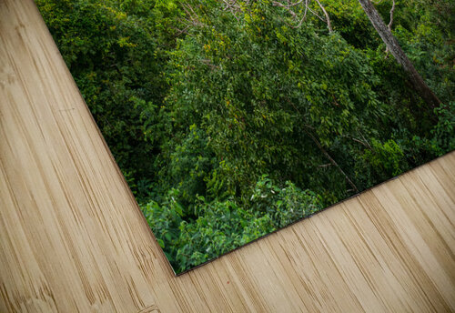  A Bare Tree Amidst Lush Hills Solitary Sentinel Bo Insogna puzzle