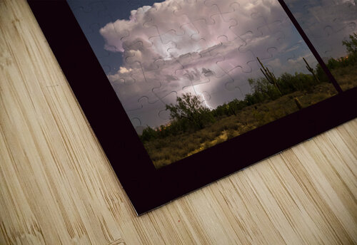 Storming Sonoran Desert Bo Insogna puzzle