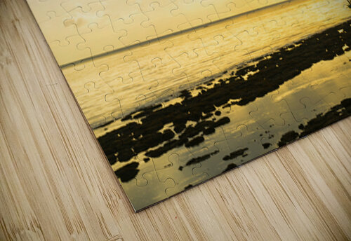 Golden Horizons Drift with the Tide Bo Insogna puzzle