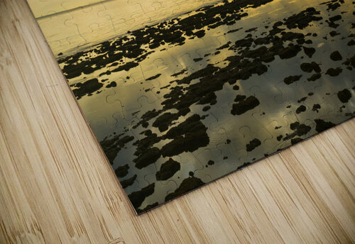 Golden Waters Carry the Morning Light Bo Insogna puzzle