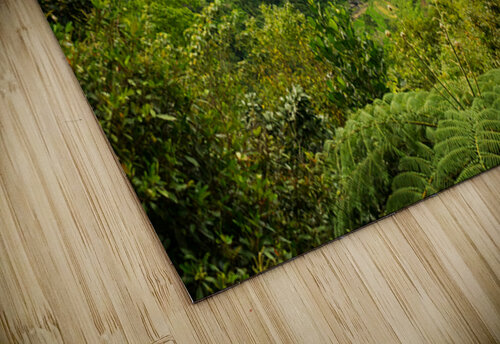 Emerald Veil of Negros Bo Insogna puzzle