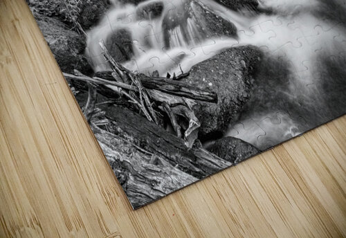 Roosevelt National Forest Stream Bo Insogna puzzle