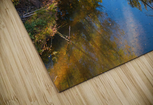 Reflections Time Bo Insogna puzzle