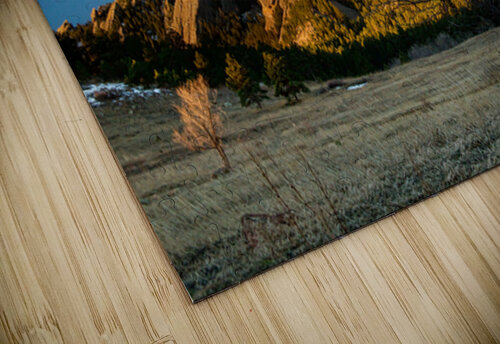 Waning Gibbous Moon Boulder Colorado Flatirons Early Morning Lig Bo Insogna puzzle