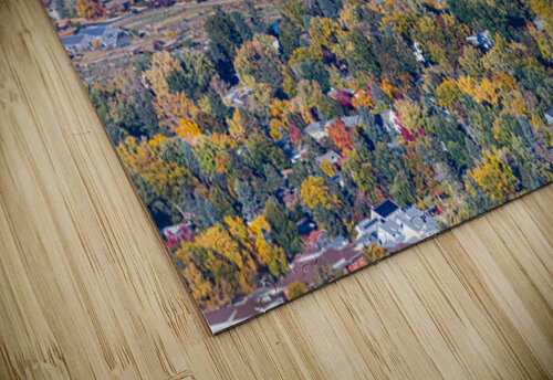 Colorful Trees of Boulder Colorado Bo Insogna puzzle