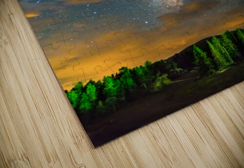 Forest In The Night Bo Insogna puzzle