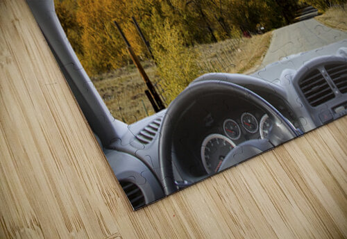 Colorado Road Trip View Snowy Peaks Golden Aspen Bo Insogna puzzle