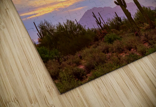 Colorful Sonoran Desert Sunrise in Beautiful Arizona Bo Insogna puzzle