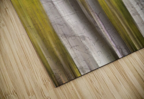 Autumn Aspen Dreamscape Abstract Landscape Bo Insogna puzzle