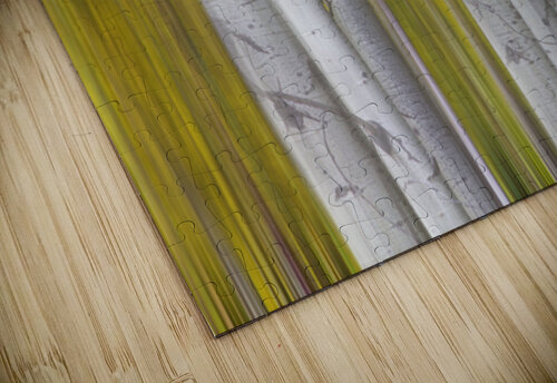 Golden Aspen Abstraction Fine Art Landscape Bo Insogna puzzle