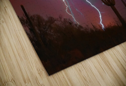 Saguaro Lightning Storm Bo Insogna puzzle