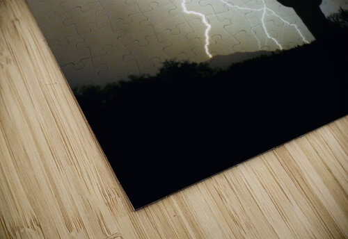 Lightning Swirl Saguaro Cactus Highlands Bo Insogna puzzle