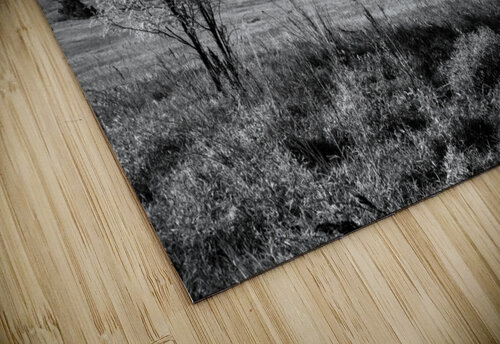 Boulder Colorado Flatirons Black White Bo Insogna puzzle