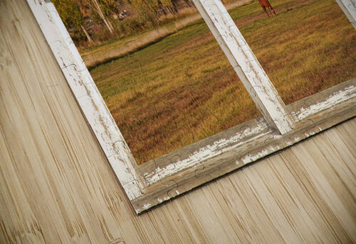 Horses Autumn White Barn Picture Window View Bo Insogna puzzle