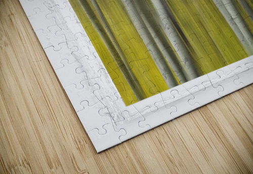 Surreal Dreamy Aspen Forest White Rustic Window Bo Insogna puzzle