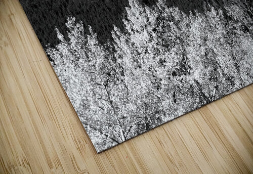 Longs Peak Autumn Aspen Landscape View BW Bo Insogna puzzle