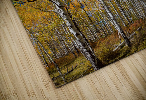 Autumn Blue Skies Bo Insogna puzzle