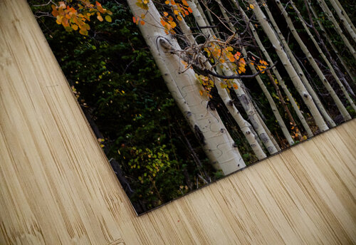 autumn seasons change Bo Insogna puzzle