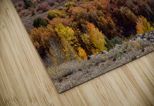 Colorado Color Lollapalooza Bo Insogna puzzle