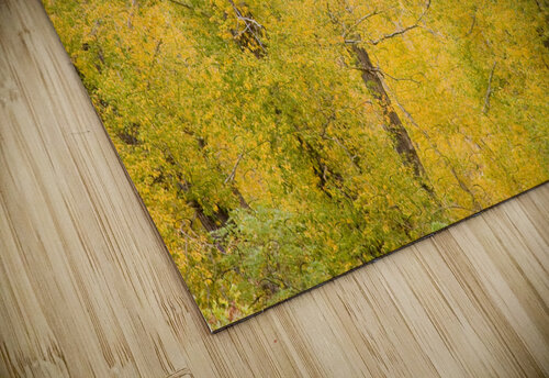 cottonwood autumn colors Bo Insogna puzzle