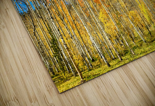colorful colorado autumn aspen trees Bo Insogna puzzle