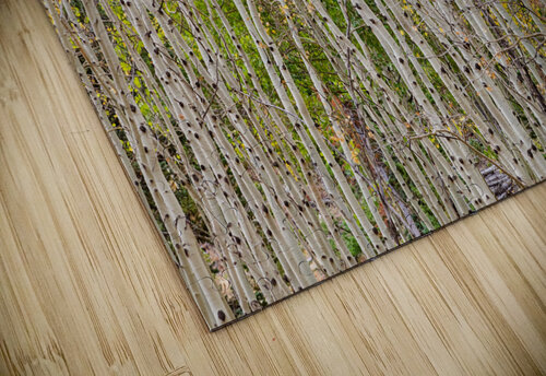 Colorful Forest Twist  and Turns Bo Insogna puzzle