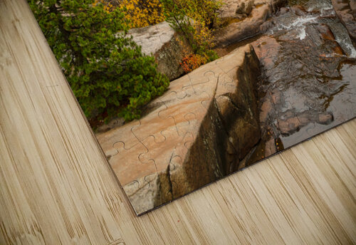 Downstream St Vrain Bo Insogna puzzle