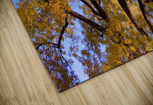  Magical Mystery Tour  Bo Insogna puzzle