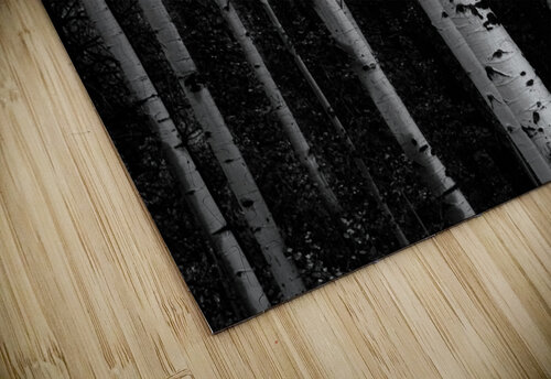 Shades Of A Forest Bo Insogna puzzle