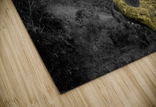 Golden Hand Sirao Bo Insogna puzzle