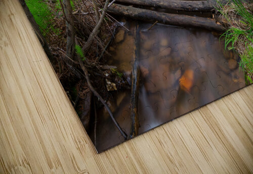 Creek Crossing Forest Woods Bo Insogna puzzle