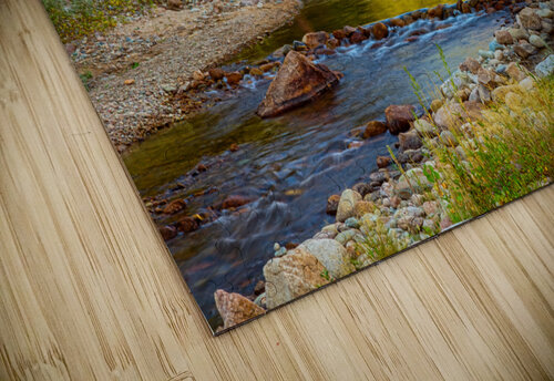 Golden Fishing Stream Bo Insogna puzzle