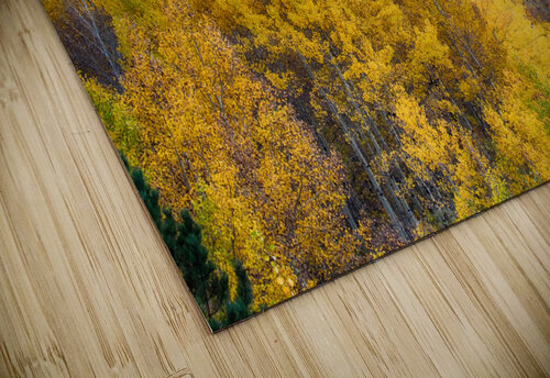 Colorful Crested Butte Colorado Bo Insogna puzzle