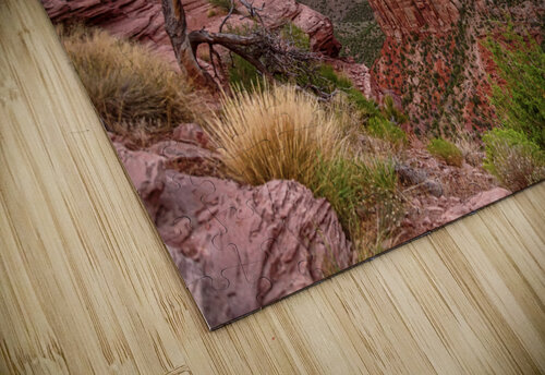 Colorado National Monument Burning Ridge  Bo Insogna puzzle