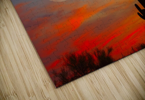Full Moon Big Saguaro Sunset Bo Insogna puzzle