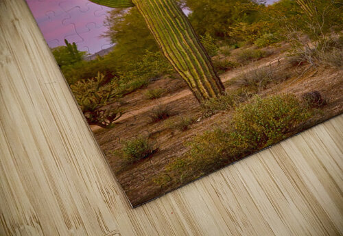 Desert Spring Bo Insogna puzzle