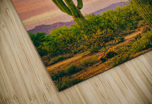 Arizona Life Bo Insogna puzzle