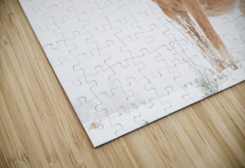 Smiling Palomino Snow Bo Insogna puzzle