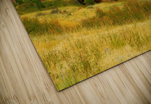 Red Rocks Morrison Colorado Bo Insogna puzzle