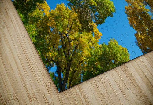 Autumns Radiant Canopy -  A Skyward View Bo Insogna puzzle