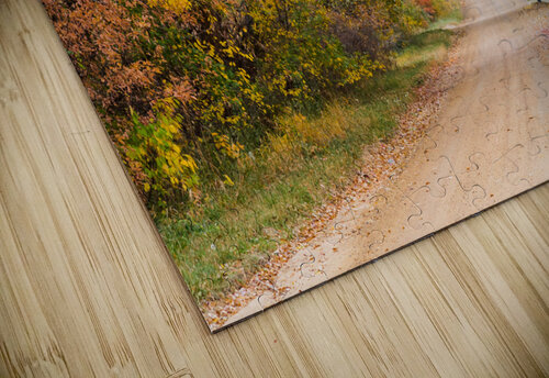 Autumns Country Retreat - A Canopy of Color Bo Insogna puzzle