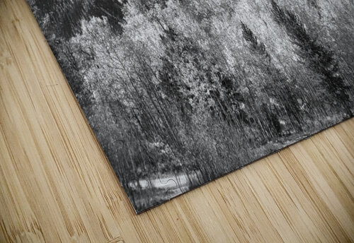 Rocky Mountain Autumn High In Black and White Bo Insogna puzzle