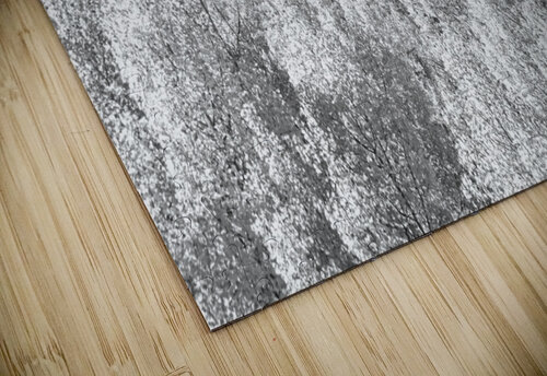 Colorado Rocky Mountain Autumn Beauty Black and White Bo Insogna puzzle