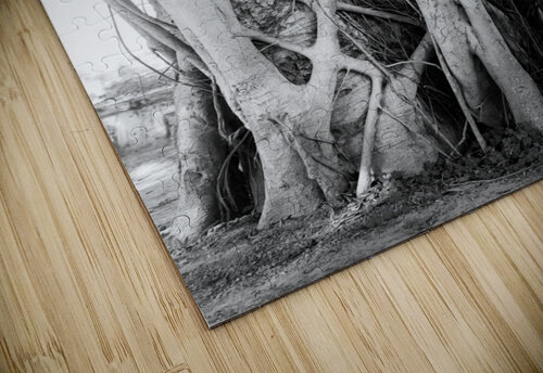 Tropical Tree Vibes Bo Insogna puzzle