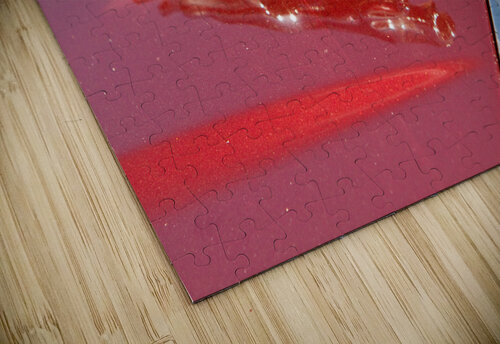 Jaguar Hood Ornamen and Emblem Bo Insogna puzzle