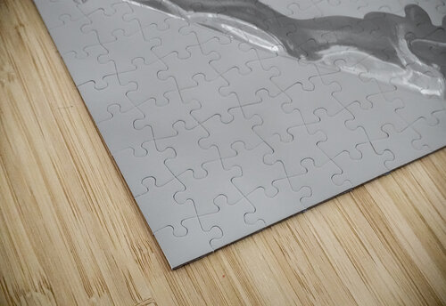 Jaguar Car Hood Ornament Reflection BW Bo Insogna puzzle