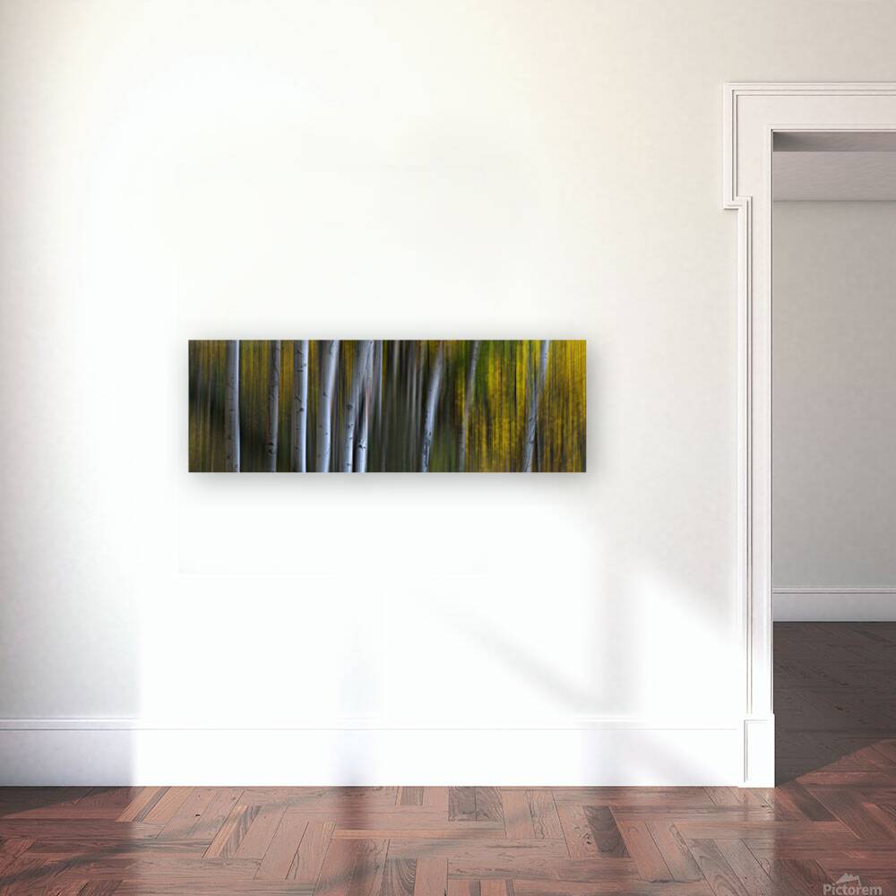 Forest Wilderness Wonderland Abstract  Photo Art Reproduction