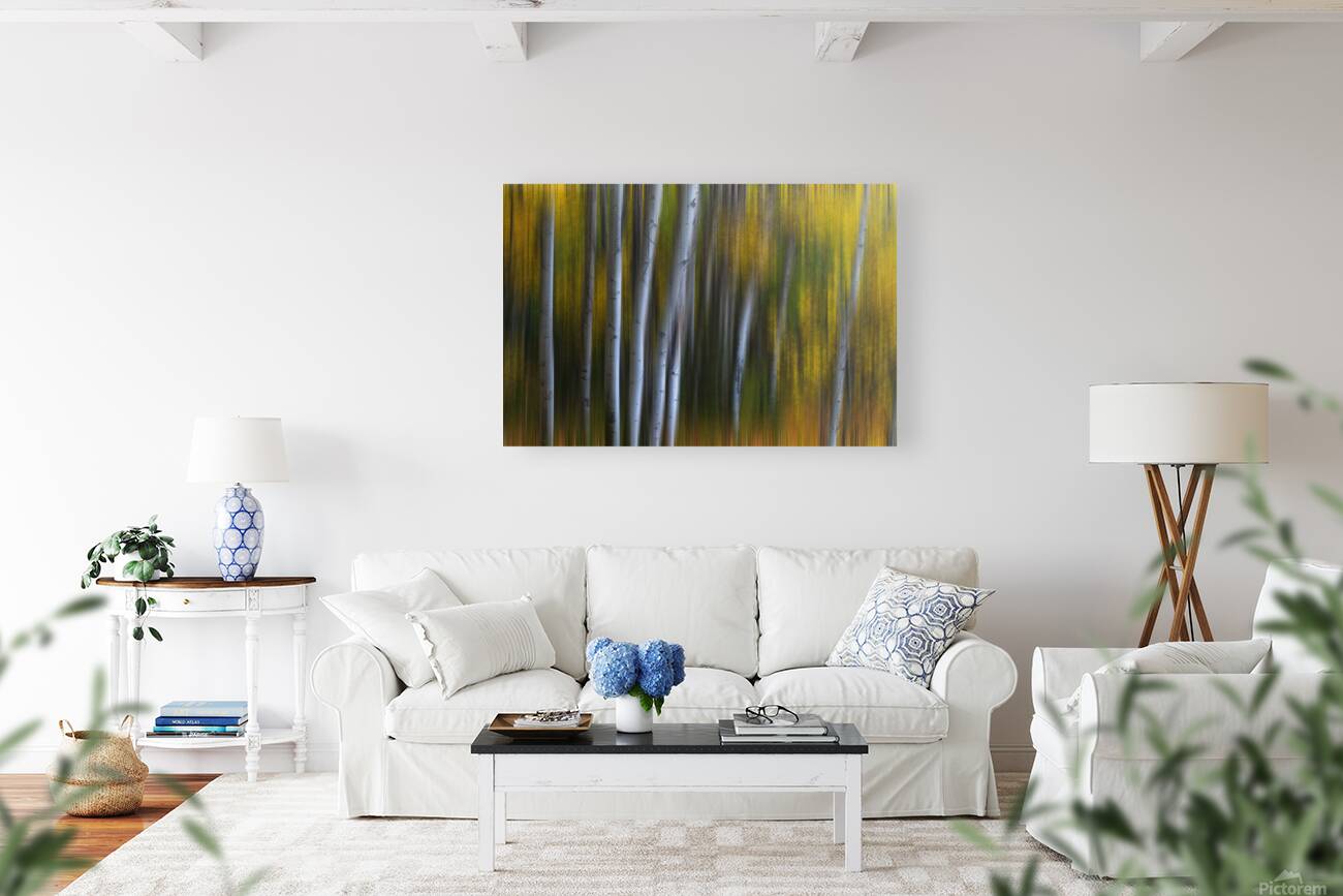 Forest Wilderness Wonderland Abstract  Photo Art Reproduction