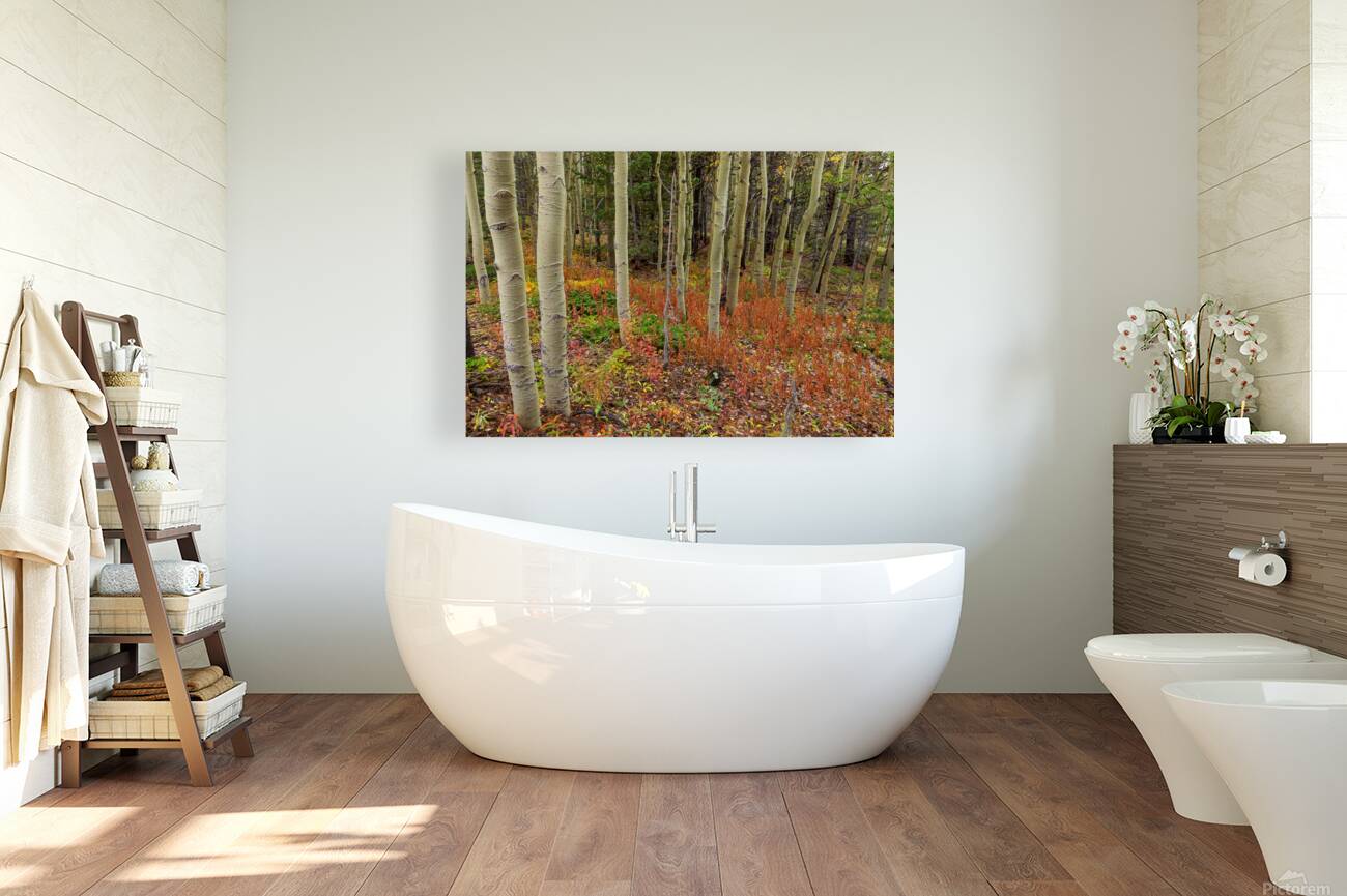 Wilderness Wonderland Reproduction